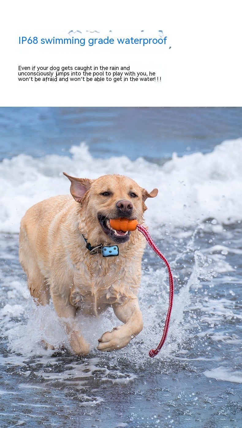 image-Pet Tracking Collar - Cat Dog GPS Tracker