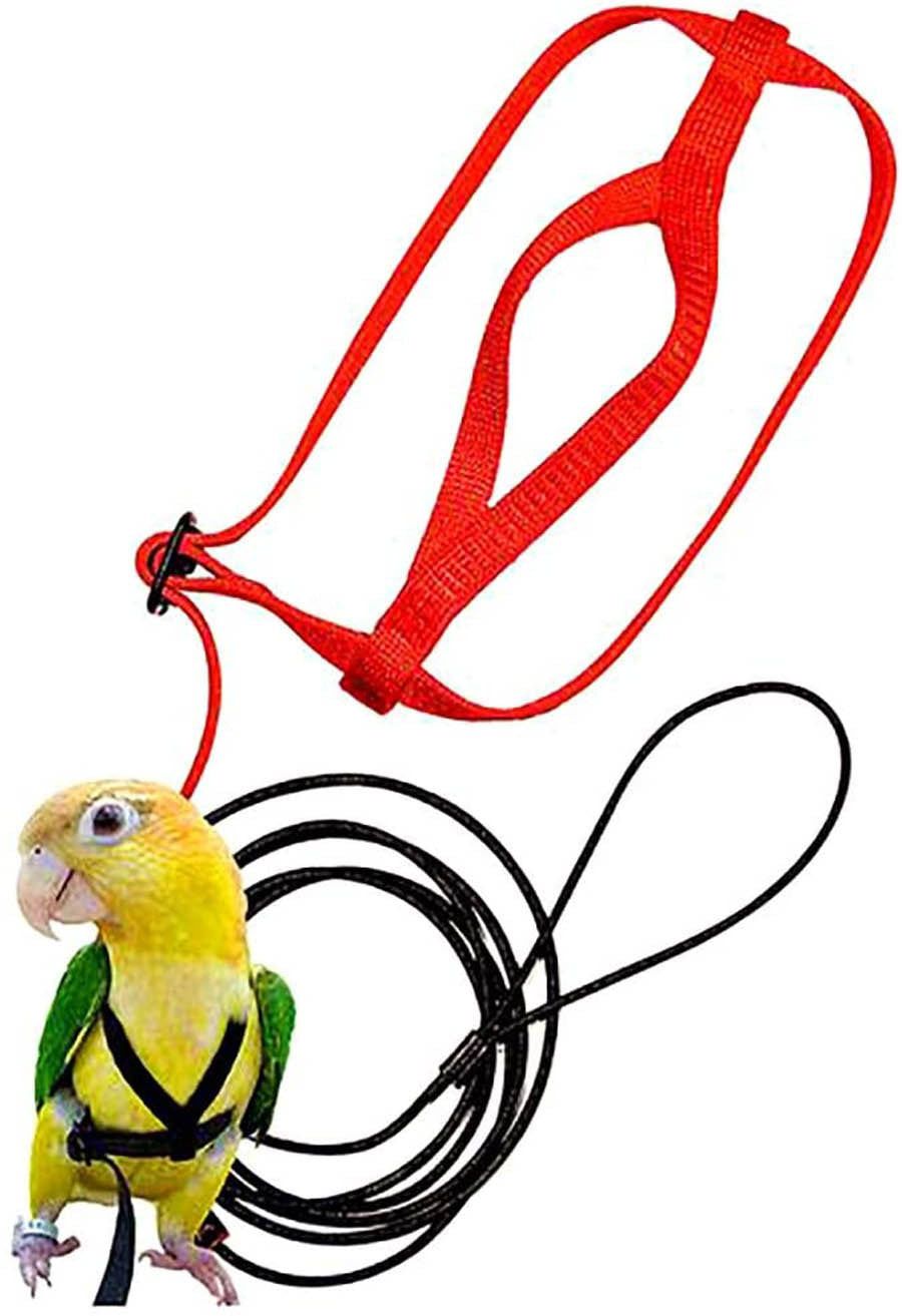 image-Parrot Flying Rope with Bird Harness - Bite-Proof, Adjustable, Lightweight