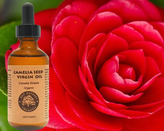 Organic Camellia Seed Oil - Cold Pressed Virgin Moisturizer