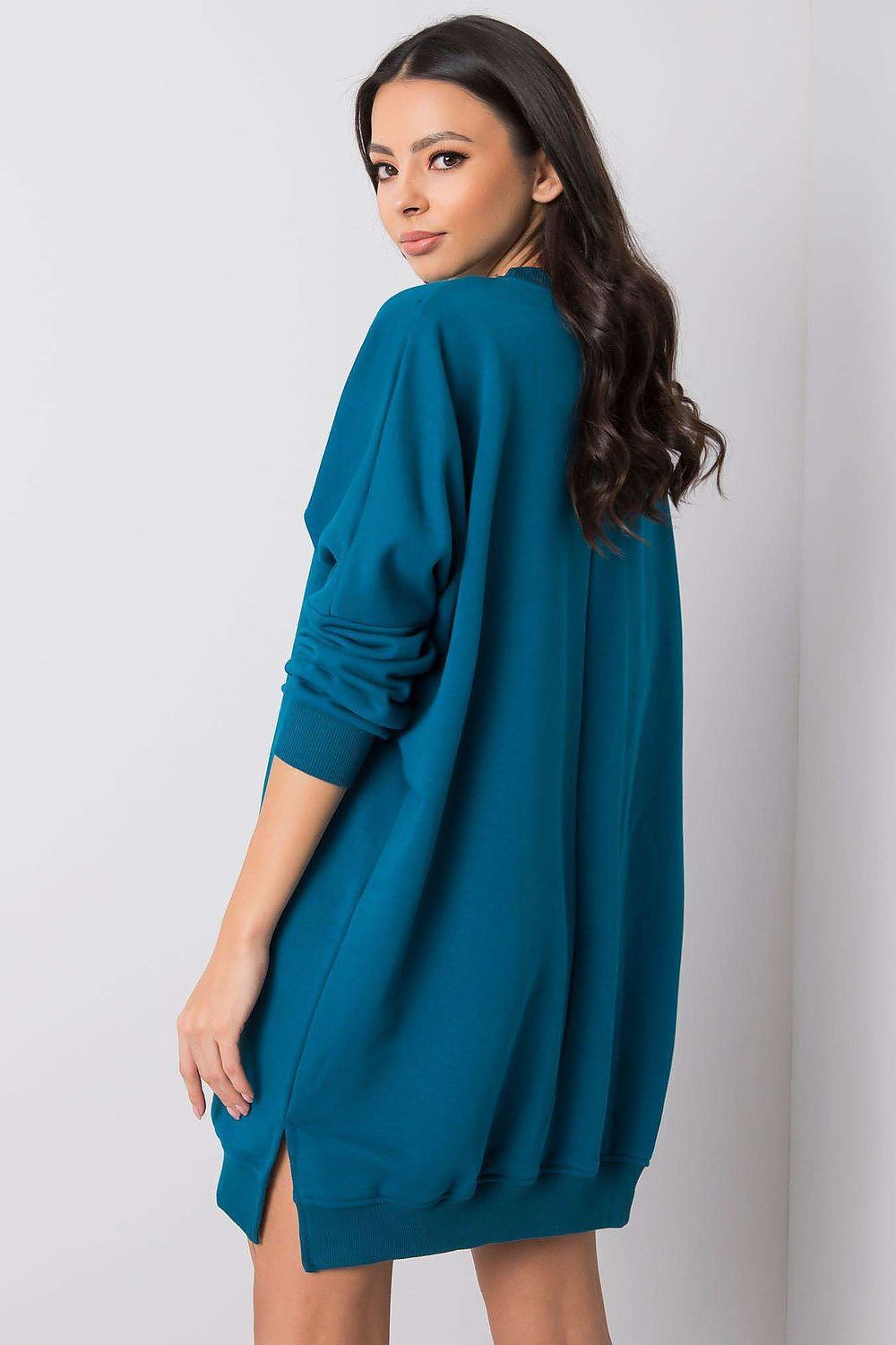 image-Sweatshirt Dress Cotton Long Sleeve One Size