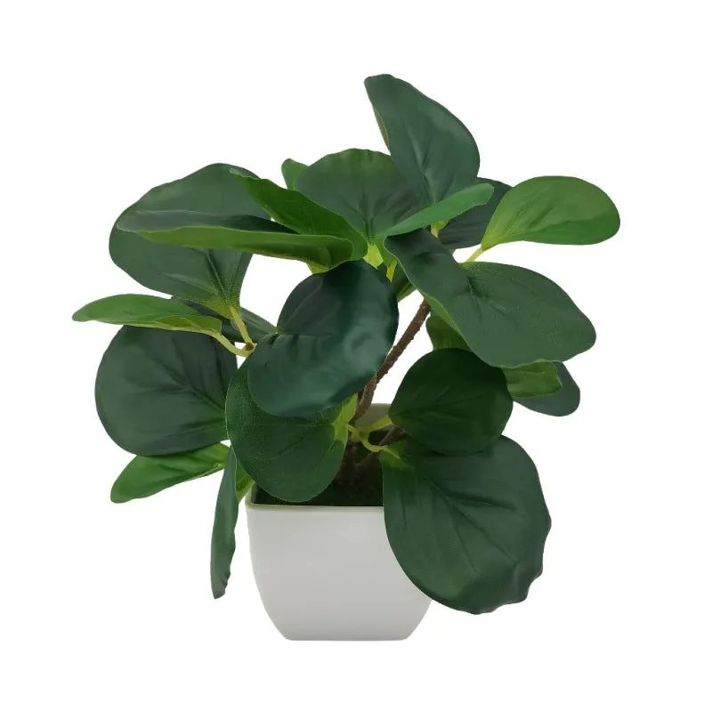image-Simulation Watermelon Leaf Potted Plant - Monstera
