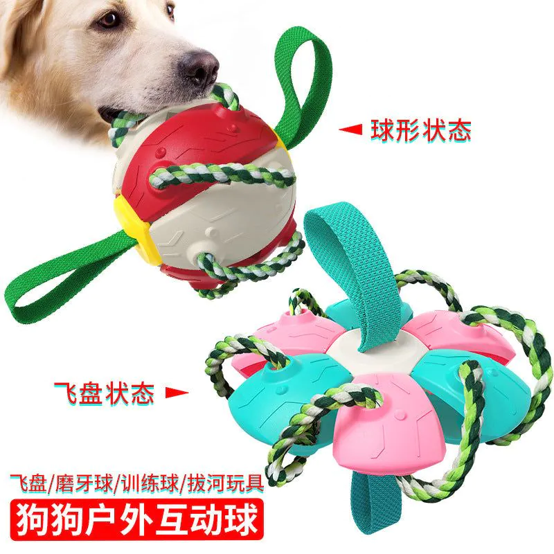 image-Dog Frisbee Toy - Interactive Outdoor Training