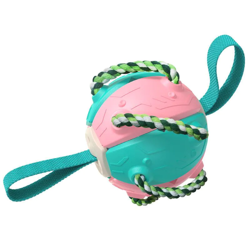 image-Dog Frisbee Toy - ABS Interactive Training Disc
