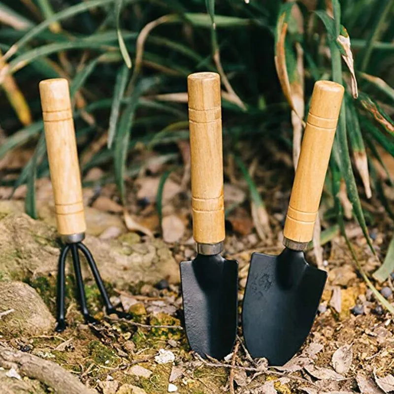 image-10-Piece Succulent Planting Tool Set - Mini