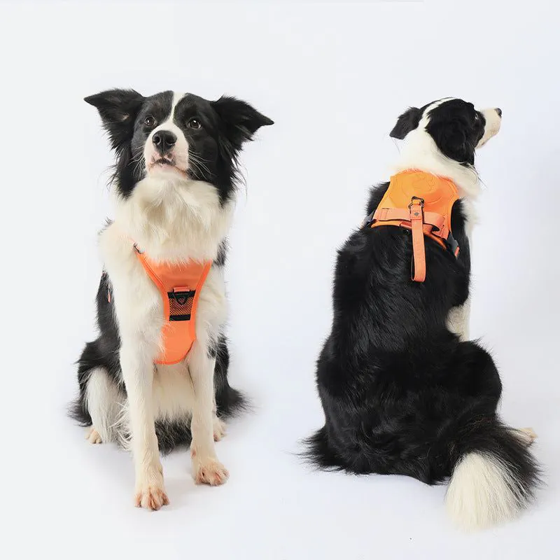 image-KINYU Dog Harness Leash Set - Black XL Retractable