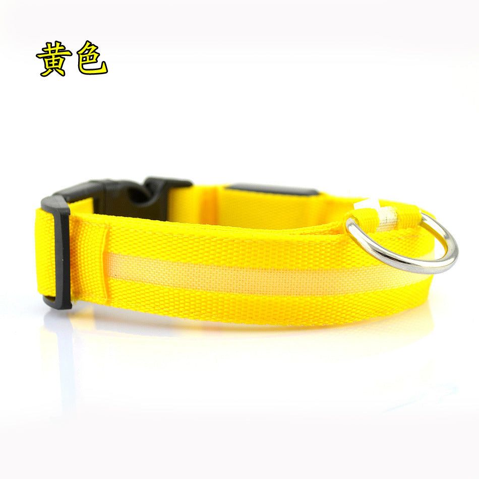 image-Si Sheng LED Dog Collar - Light Up XL