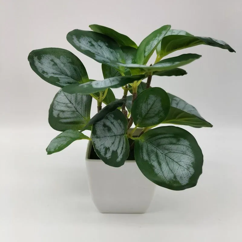 image-Simulation Watermelon Leaf Potted Plant - Monstera