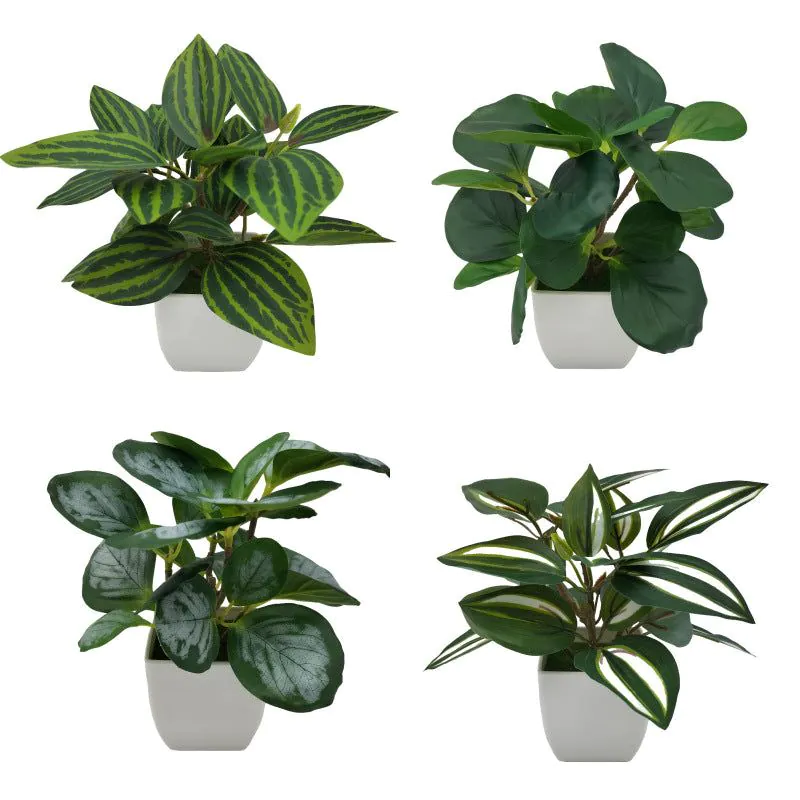 image-Simulation Watermelon Leaf Potted Plant - Monstera