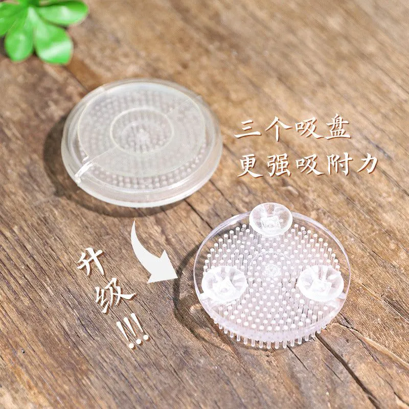 image-Kenzan Flower Arrangement Base - Plastic Transparent