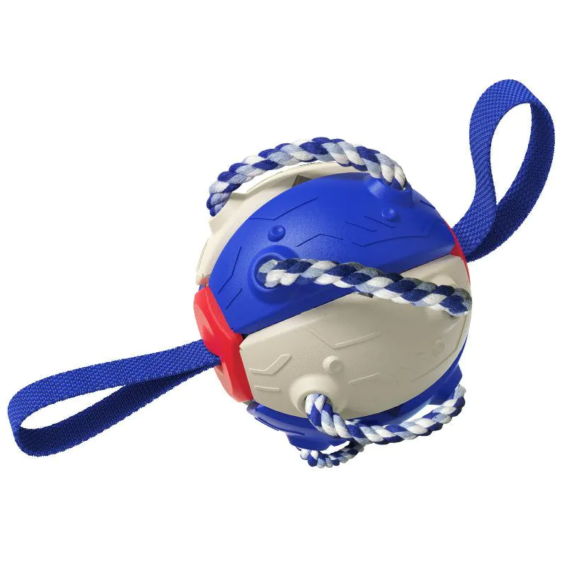 image-Dog Frisbee Toy - ABS Interactive Training Disc