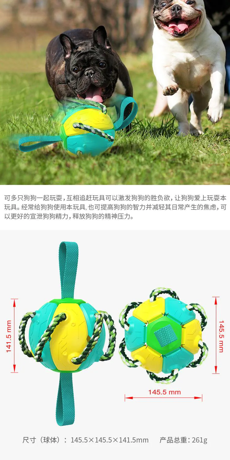 image-Dog Frisbee Toy - Interactive Outdoor Training