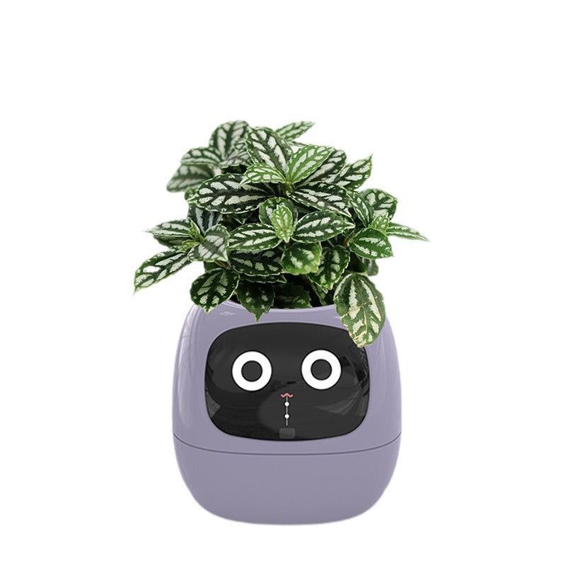 image-Autonomy Plastic Flower Pot - Pink 20cm