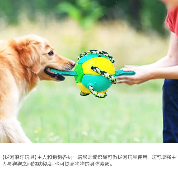 image-Dog Frisbee Toy - Interactive Outdoor Training
