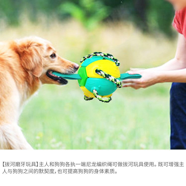 image-Dog Frisbee Toy - ABS Interactive Training Disc