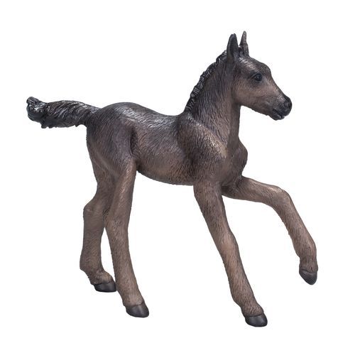 image-Arabian Foal Black Realistic Horse Model