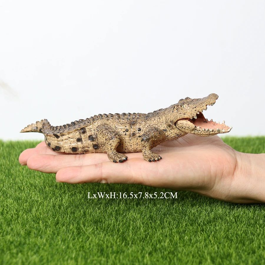 image-SamKaLa Realistic Amphibian Model Toy Figures - Educational